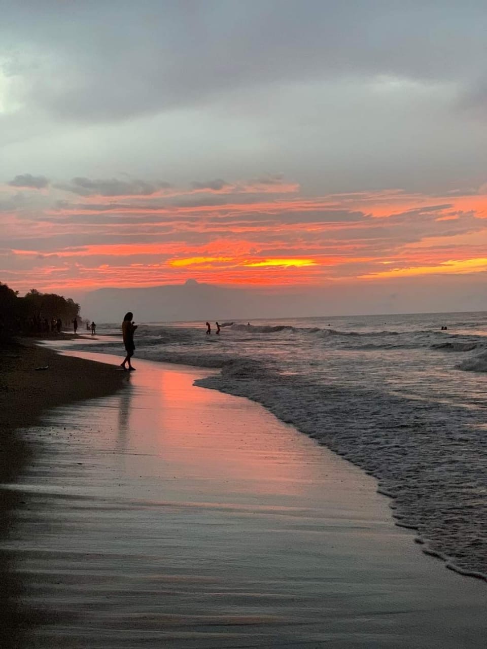 Palomino Coastline