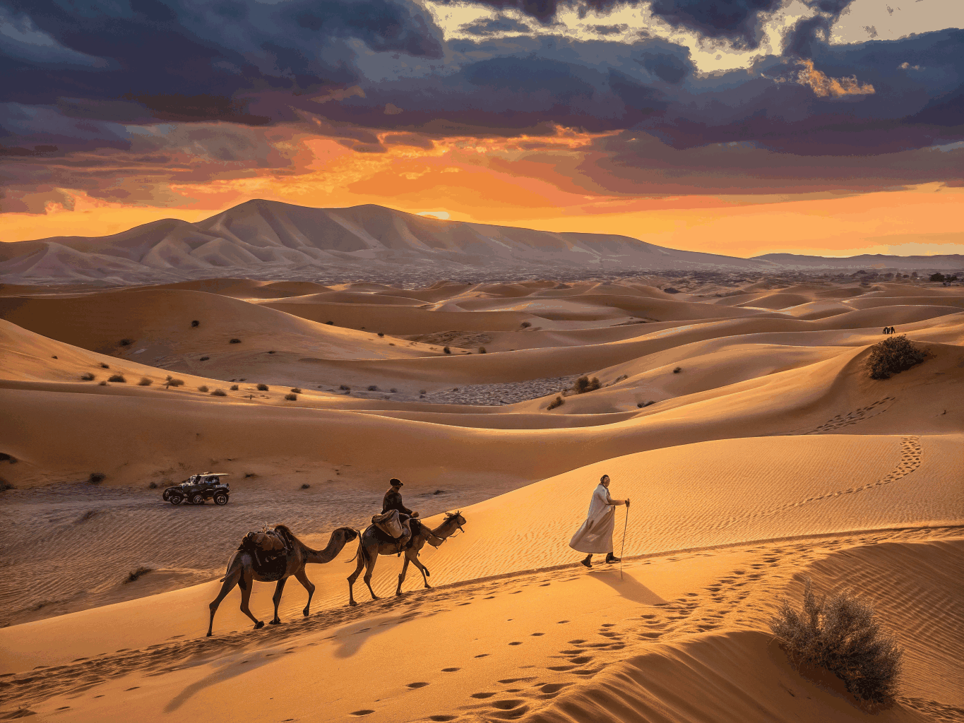 Desert Safari