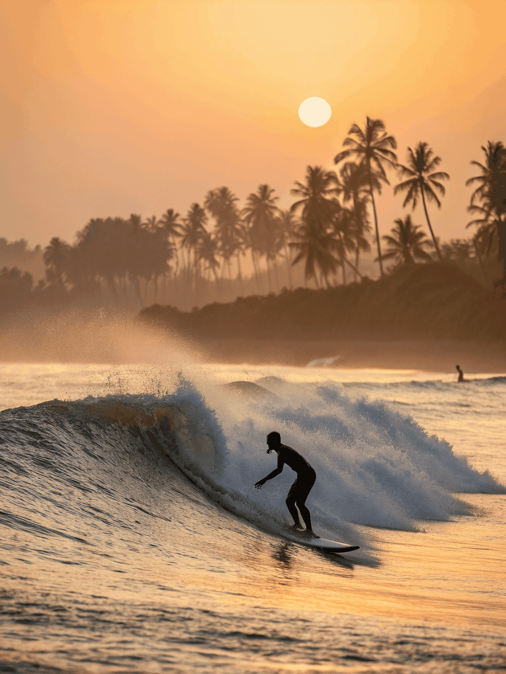 Surf Lessons